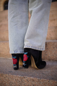 Bota